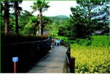 경춘선 폐선부지, 제주 ‘놀멍 쉬멍 걸으멍’