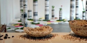 갤러리쌈지, 흙;의;숲展