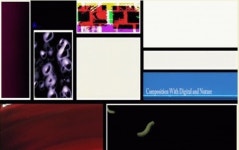 W Gallery, 안녕, 안녕바다! 展