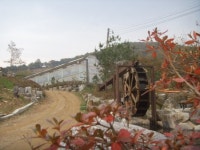 [파주]파주시, 깨끗하고 아름다운 축사 만들기 앞장