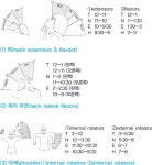 [신체디자인]신체의 유연성 측정 방법