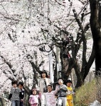 수도권 전철 타고 떠나는 봄꽃여행 10선