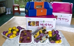 [광주]해남군, 웰빙 아이스떡 인기