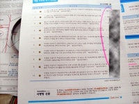 [광주]부동산 중개보조원 불법광고·영업 극성