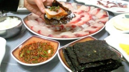 [광주]삼치회도 먹고, 맴섬 일출도 보고 ... 땅끝마을 들썩