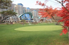 대명리조트 비발디파크 체리동 특별분양 모집