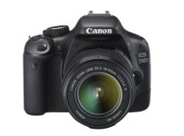 크리스마스에 멋진 사진을 찍고 싶다면