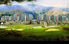 특별분양! 대명리조트 VVIP ‘소노펠리체’