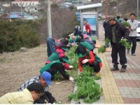 [광주]목포 유달동, 새봄맞이 해안일주도로 꽃길 조성