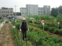 [파주]‘기르는 재미.먹는 즐거움’ 텃밭 체험교실 운영