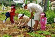 서울시, 친환경 채소 손수 기르게 해준다
