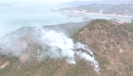 [부울]남해군 창선 율도리 산불발생 초동진화