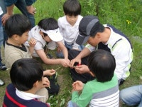 [대구경북]경주’ 북천 생태탐구교실’ 개강