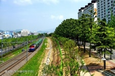 [대구경북]첨단산업단지 속 녹색도시 꿈꾸는 구미