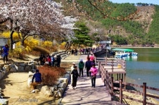 [대구경북]첨단산업단지 속 녹색도시 꿈꾸는 구미