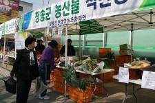 [대구경북]청송 로컬푸드, 대구로 직송