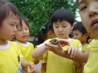 [대구경북]꽃과 나비, 생태체험 ’인기’