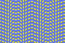 ″미술과 과학을 동시에 체험하세요″