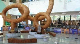 [대구경북]″영원히 시들지 않는 꽃″