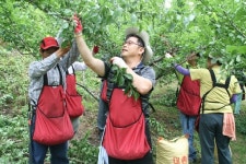 [대구경북]구슬땀 흘려야 ’진짜 공무원’