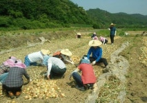 [대구경북]구슬땀 흘려야 ’진짜 공무원’