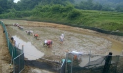 [부울]산청 차황면, 미꾸라지 양식으로 자연순환 생태농업 실현