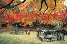 [전남]구례군, 제35회 지리산피아골단풍축제 개최