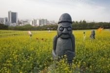 [대구경북]이월드, 2012 봄축제 ’플라워 페스티벌’