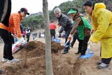 [부산경남]사하구, 녹색생태도시 나무심기 행사