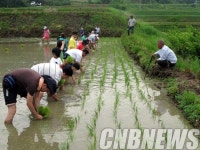 한솥밥 먹으며 시골집에서 하룻밤 묵는다