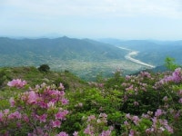 [부산경남]하동 8경 ‘악양 형제봉’ 철쭉의 향연