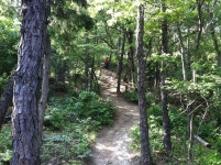 [광주전남]광주 둘레길, ‘빛고을산들길’ 로 불러주세요