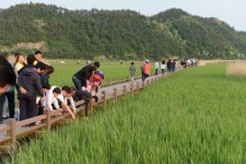 [전남CNB]1박 2일로 만나는 순천만 스페셜 체험
