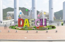 [대구경북]대구 도심, 꽃으로 물들다