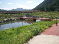 [전남CNB]남도삼백리길 청소년 국토순례 성황리에 마쳐