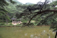 경북 영주 소수서원에서 풍기 인삼 아가씨를 만나다
