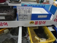 [부산경남]부산해경, 일본산 곰장어 국산으로 둔갑 판매 일당 검거