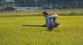 [대구경북]상주시, 축산농가에 획기적인 조사료 생산기술보급