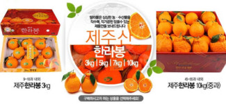 2010년, 눈 깜빡 할 사이 배송해주는 쇼핑몰이 떴다!!