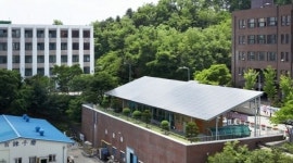 “상지학원…난장판 친 엉터리 4인방 교수들이 또”