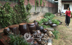전인화, 이효재의 자연주의 살림법으로 내레이션 데뷔