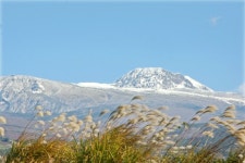 <포토> 엔돌핀 나오는 사진..만설과 억새