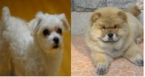 우리봉선이 실체는?..누리꾼 관심 폭발