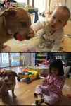 동물농장, 시에나만 보면 으르렁대던 ‘토비’의 변화