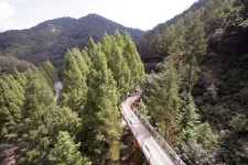 가을 풍경에 풍~덩, 걷기 여행의 매력 속으로