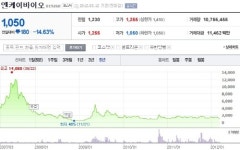 엔케이바이오에 무슨일이? 주가 롤러코스터로 개미들 피 토하네