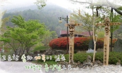 해남 가학산휴양림, 한여름밤 숲속음악회개최