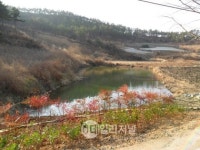 신안군‘생태 둠벙’가뭄에 효자노릇