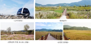 스카이큐브와 함께하는 순천만갈대축제 여행