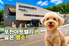 [문화 인싸잇] 포천아트밸리 여행의 숨은 공간… 반려동물 반기는 관광정보센터